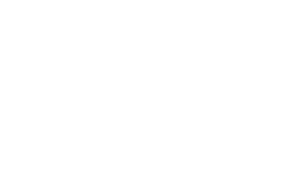 The beating heart of Brighton